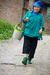 Woman with bucket of plants