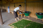 Wu Taoai dries tea leaves by Marie Anna Lee