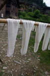 Cotton thread skeins sun drying