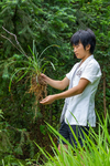 Wu Yuping holding a leafy plant