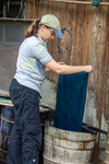 Anastasya dyeing indigo fabric