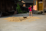 Girl walking by a pile of drying rice by Marie Anna Lee
