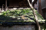 Tree and bark-covered roof
