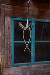 Four-pronged hook with a bent stick