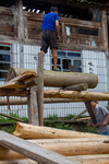 Men sawing a tree trunk with manual saw by Marie Anna Lee
