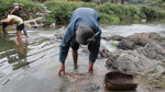 Washing boiled bark in river