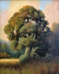 Valley Oak by Lucinda Kasser