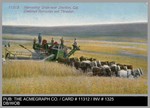 Agriculture: 11312 Harvesting Grain near Stockton, Cal. Combined Harvester and Thresher by The Acmegraph Company