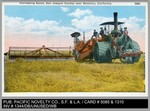 Agriculture: Harvesting Scene, San Joaquin County, near Stockton, California by Pacific Novelty Company