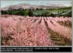 Agriculture: 2555 - Orchard and Foothills of California, near Stockton, California. by Souvenir Publishing Company