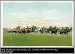 Agriculture: 10094 - Five-team train of wagons, San Joaquin Valley, California by Unknown