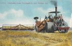 Agriculture: 11310. Harvesting Scene, San Joaquin Co. near Stockton, Cal. by The Acmegraph Company