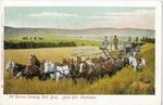 Agriculture: 24 horses drawing Holt Bros. Sicle Hill Harvester by Richard Behrendt