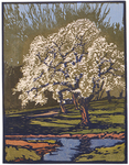 Valley Impressions: Historic Block Prints and Watercolors by William S. Rice
