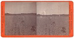 Stockton: (Field.) by John Pitcher Spooner 1845-1917