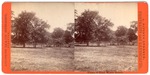 Stockton: "Views at Good Water Grove." (Showing picnic grounds.) by John Pitcher Spooner 1845-1917