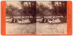 Stockton: "Views at Good Water Grove." (Circle of fourteen people picnicking.) by John Pitcher Spooner 1845-1917