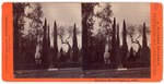 Stockton: "Stockton Rural Cemetery, 1877." by John Pitcher Spooner 1845-1917