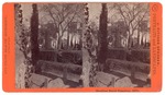 Stockton: "Stockton Rural Cemetery, 1877." by John Pitcher Spooner 1845-1917