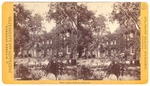 Stockton: "State Hospital Stk." "State Insane Asylum -- Grounds." by John Pitcher Spooner 1845-1917