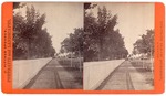 Stockton: (State Hospital. Road through trees with fence.) by John Pitcher Spooner 1845-1917