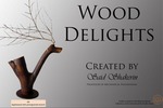 Wood Delights by Said Shakerin