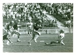 Football-University of the Pacific football player Willard Harrell with ball on field during Homecoming game by unknown