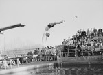 Swimming-Man diving off diving board by unknown