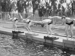 Swimming-Swimmers preparing to dive into pool by unknown