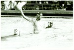 Water polo-University of the Pacific water polo player Todd Hosmer by unknown