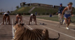 The World's Greatest Athlete. Track and Stagg Stadium. [still from video] by Walt Disney Pictures