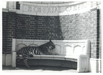 The World's Greatest Athlete. Tiger "CG" at Smith Gate [candid from set] by Unknown